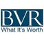 Picture of BVR:  BizMiner
