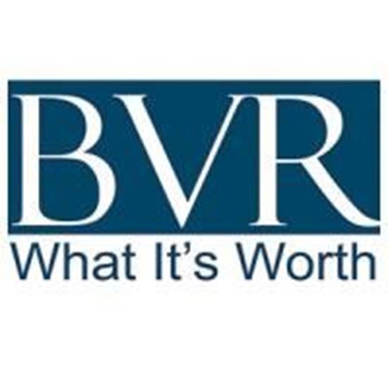 Picture of BVR - Mergerstat 2019